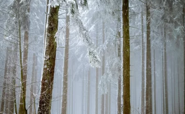 Погодная карусель: резкие изменения погоды накроют Казахстан 3 декабря