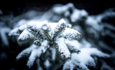 Когда в Алматы выпадет снег и придет настоящая зима: прогноз Казгидромета