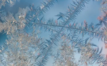 Резкое похолодание до –25 и снегопады: прогноз погоды в Казахстане на 9 декабря