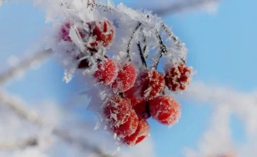 Сильные морозы надвигаются на Казахстан: прогноз на 16-18 декабря