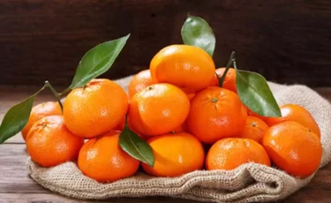 Запах Нового года из-за границы: откуда в Казахстан везут мандарины