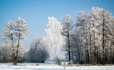 Погода снова бьёт по регионам Казахстана: метель и сильный ветер
