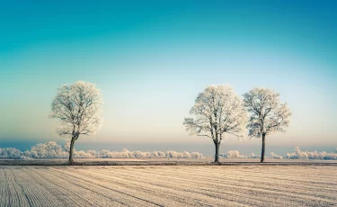 От −14 до +8: погода в Казахстане резко разделит страну