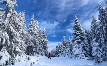 Где отдохнуть зимой: ТОП-5 зимних направлений Северо-Казахстанской области