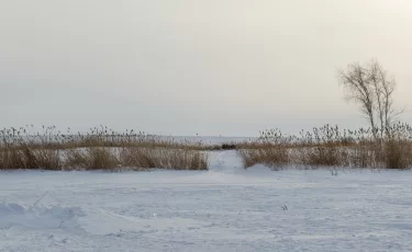 Какая погода будет в Казахстане: морозы, снег и ветер