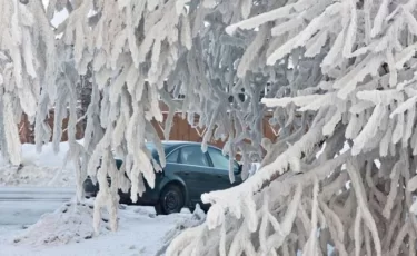 Прогноз погоды в Казахстане на 20–22 января: морозы до -38°C