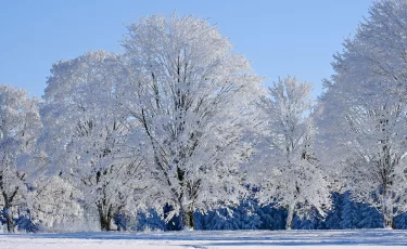 Мороз до −37 °C накроет Казахстан: где будет холоднее всего