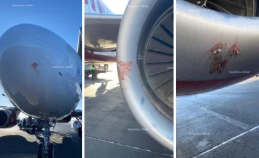 Самолёт FlyArystan на рейсе Алматы – Уральск столкнулся с птицами