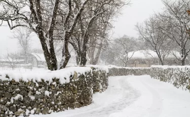 Погода в Казахстане на 31 января: морозы на севере и потепление на юге
