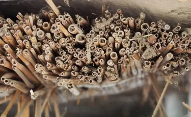 Казахстанцев предупредили о жестких ограничениях на территории России