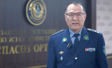 МВД предупредило казахстанцев об опасности онлайн-курсов вождения