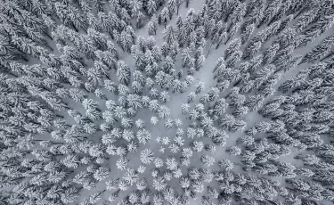 Прогноз погоды на 4 февраля: чего ждать жителям Казахстана