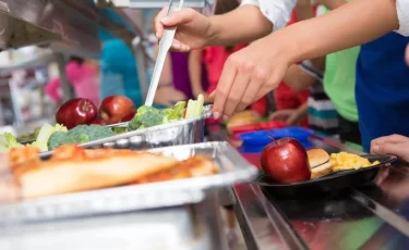 Питание школьников под угрозой из-за неучтенного НДС и инфляции - депутат