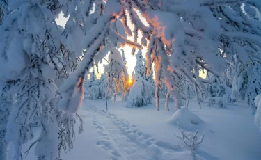 Какой будет погода в Казахстане 12 февраля