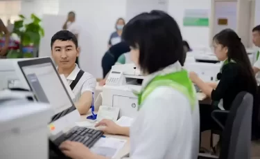 В Казахстане приостановят выдачу ИИН иностранцам