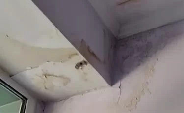 Бюджетные миллионы и грибок на стенах: что пошло не так в детской больнице Темиртау