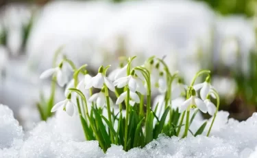 Март в Казахстане будет тёплым, но с переменной погодой и осадками