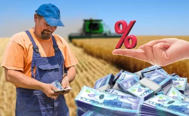 Сельский бизнес сможет получать займы без залога