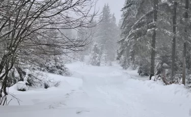 Мороз до –19 и плюсовые +14: какой будет погода в Казахстане 3 марта