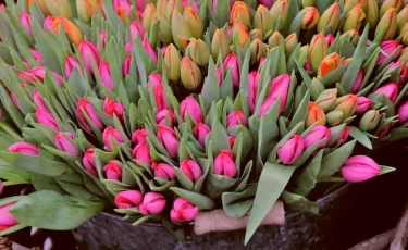 Астанчане смогут купить к 8 марта свежие продукты и цветы