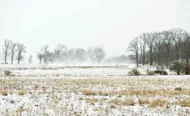 Снег, ветер и перепады температуры: какую погоду ждать казахстанцам 6 марта