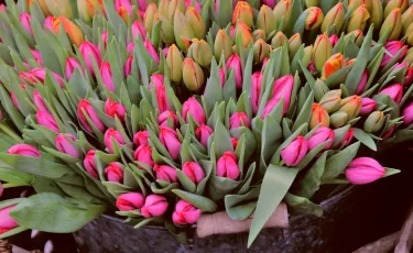 Как не потерять деньги на «цветочных» сайтах к 8 марта