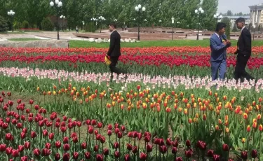 В Алматы определили более тысячи мест для продажи цветов к 8 Марта