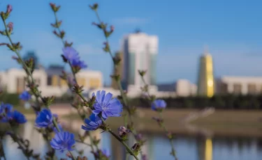 Квартиры на левом берегу Астаны стоят на 11% дороже: почему так