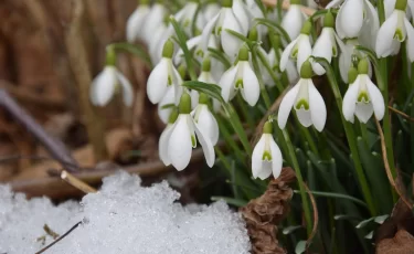 Прогноз погоды: где в Казахстане 14 марта будет до +14°C