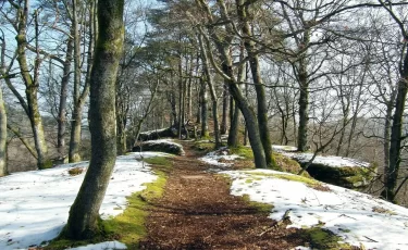 Погода в Казахстане 14 марта: снег в Астане и до +12° на юге