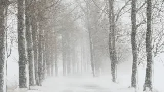 Снег и метель: на севере и востоке Казахстана ухудшится погода 16 марта