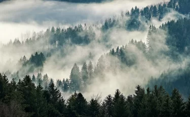 Туман, гололед и грозы: какая погода ждет казахстанцев 20 марта