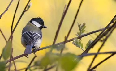 Синоптики рассказали, где в Казахстане потеплеет до +30 градусов