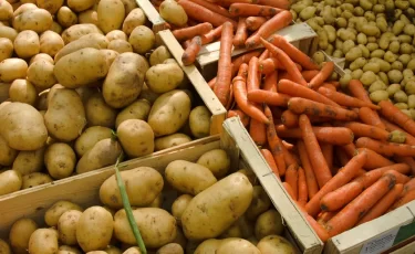 Цены на овощи в Казахстане выросли до 16,7% за три месяца