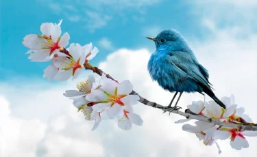 Синоптики обещают до +32°C: где в Казахстане будет жарче всего