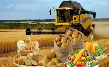 Казахстан вошёл в топ-6 стран мира по сельхозземлям