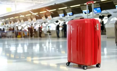 Могут отобрать на границе: что нельзя ввозить в Турцию в 2026 году