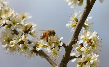 Погода на выходные: в каких регионах ждать тепло, а где брать зонт