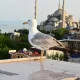 Сколько стоит отдых в Стамбуле: личный опыт алматинки