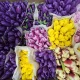 Почему тюльпаны к 8 Марта в Астане подорожали почти на 40%