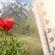 Погода в Казахстане 20 апреля: до +35°C и ветер с дождями