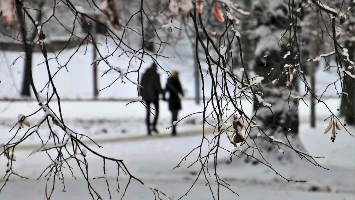 Туман и гололед: о погоде в Казахстане на 15 февраля