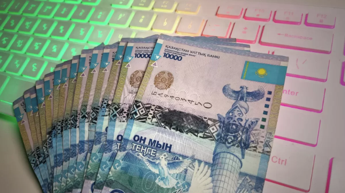 В Астане должники скрывали доходы на 350 млн тенге через электронные кошельки