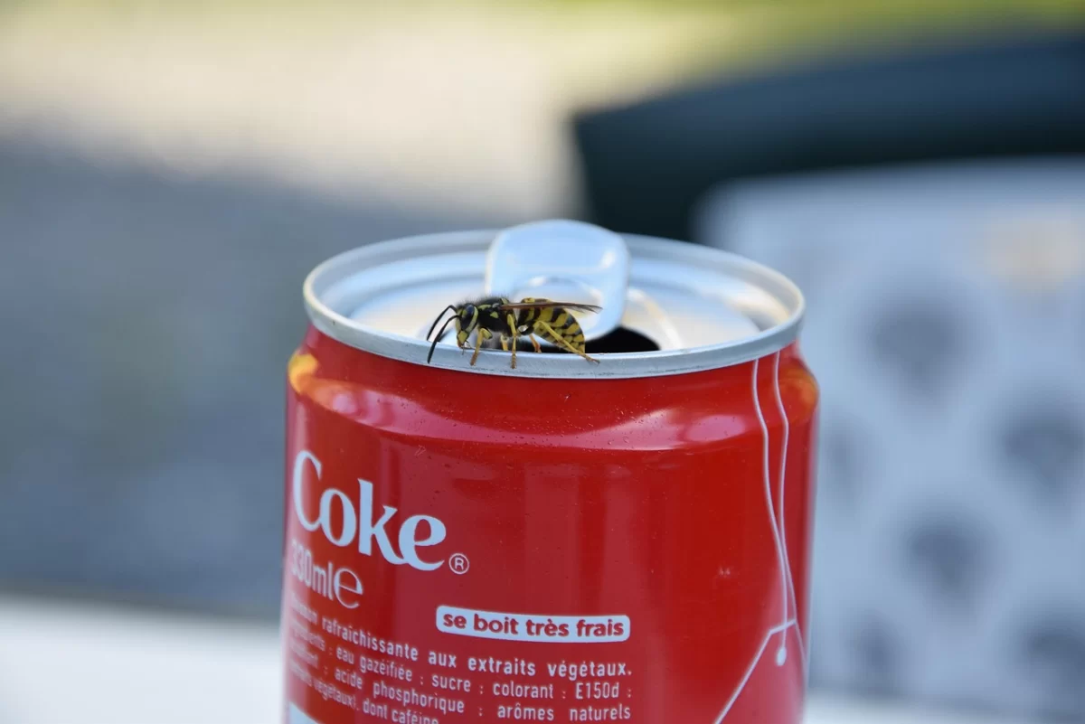 Coca-Cola запускает персонализированные бутылки с именами