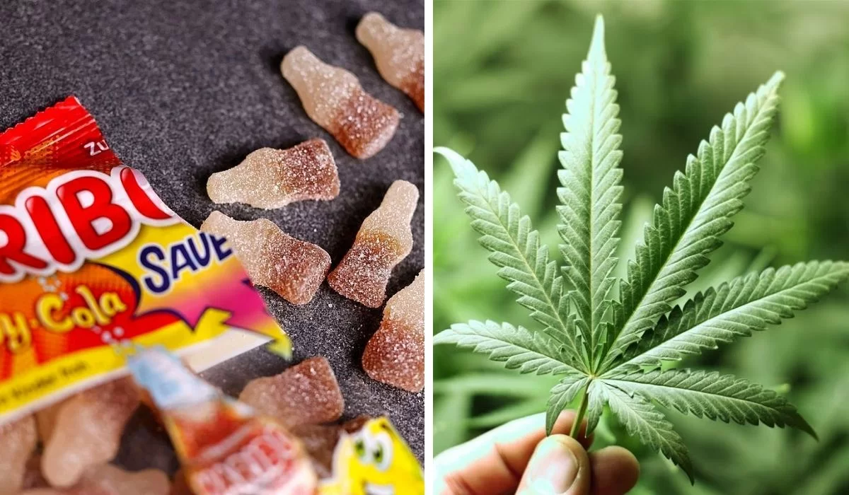 Конфеты Haribo вызвали отравление у детей: что нашли внутри?