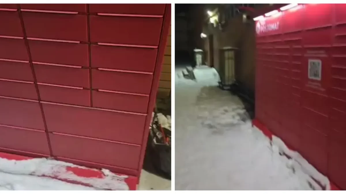 В Kaspi Postomat кота обрекли на гибель