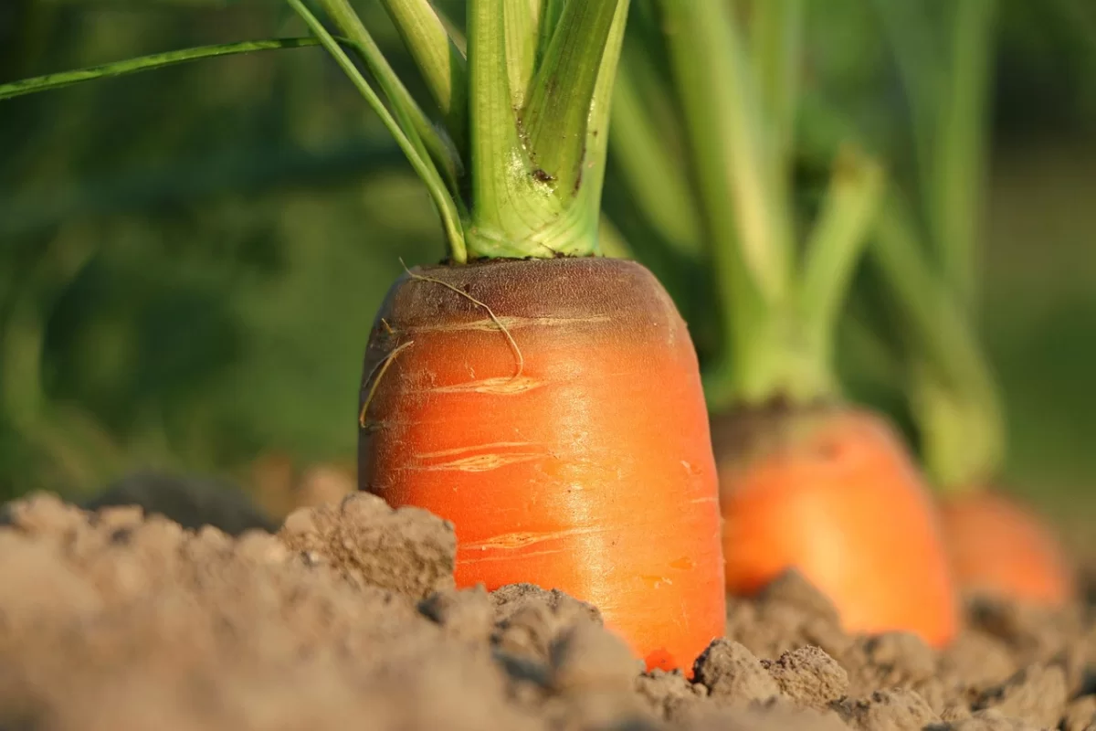 Самый быстро дорожающий продукт в Казахстане оказался неожиданным