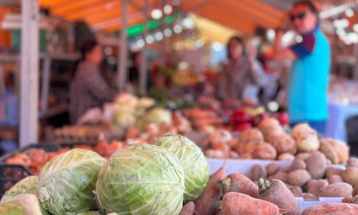Где купить продукты дешевле: в Астане пройдет большая сельхозярмарка