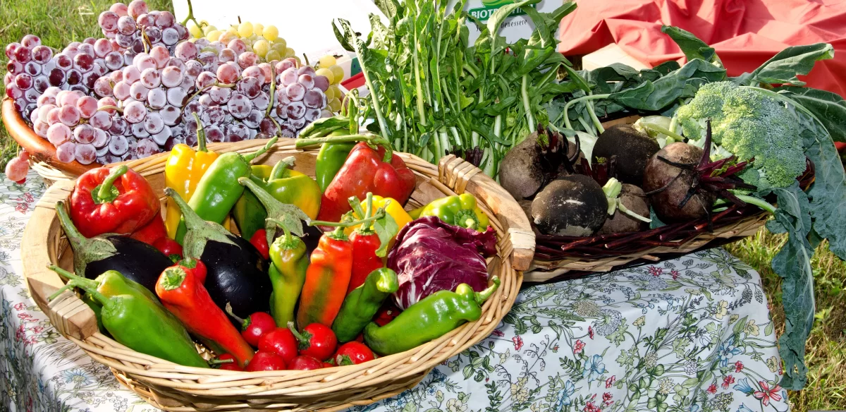 В Астане снова откроют фермерскую ярмарку: что стоит купить
