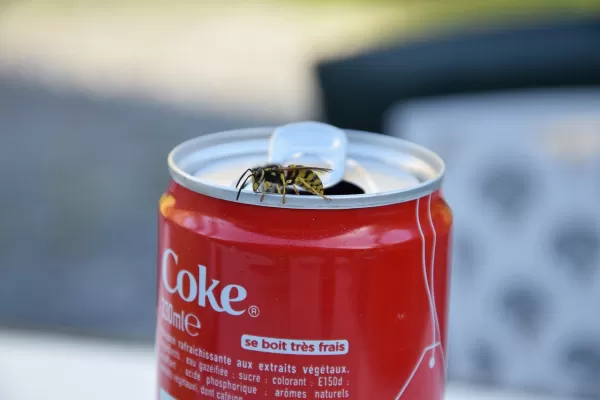 Coca-Cola запускает персонализированные бутылки с именами